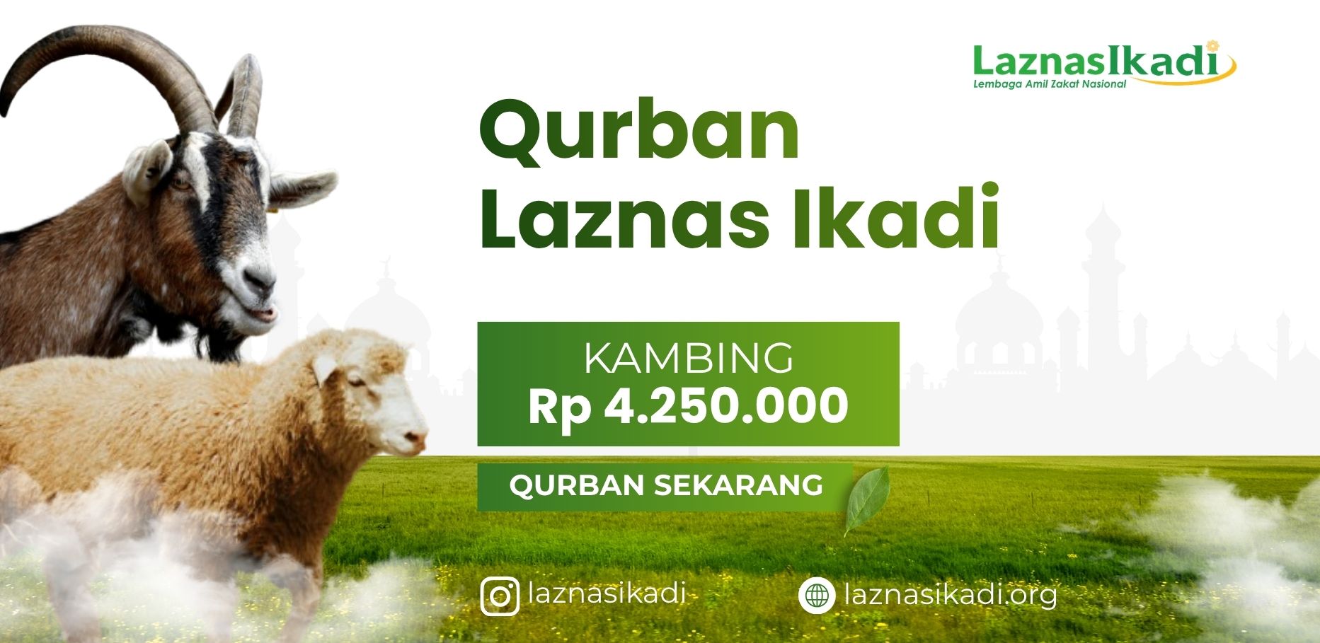 Qurban Domba Masjid IKADI