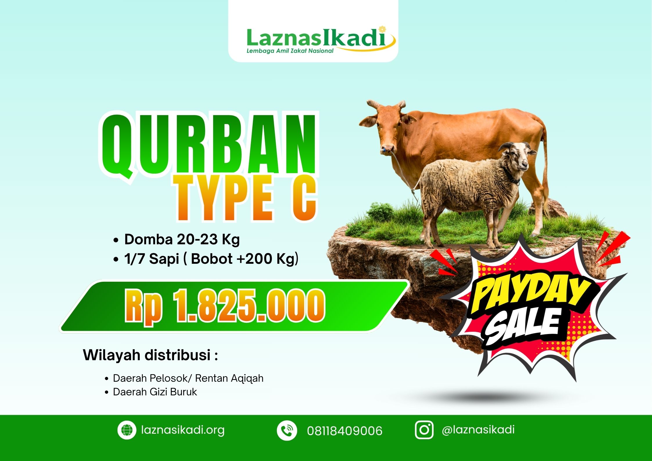 Qurban Paket C : Pilihan Ekonomis (Domba atau 1/7 Sapi)
