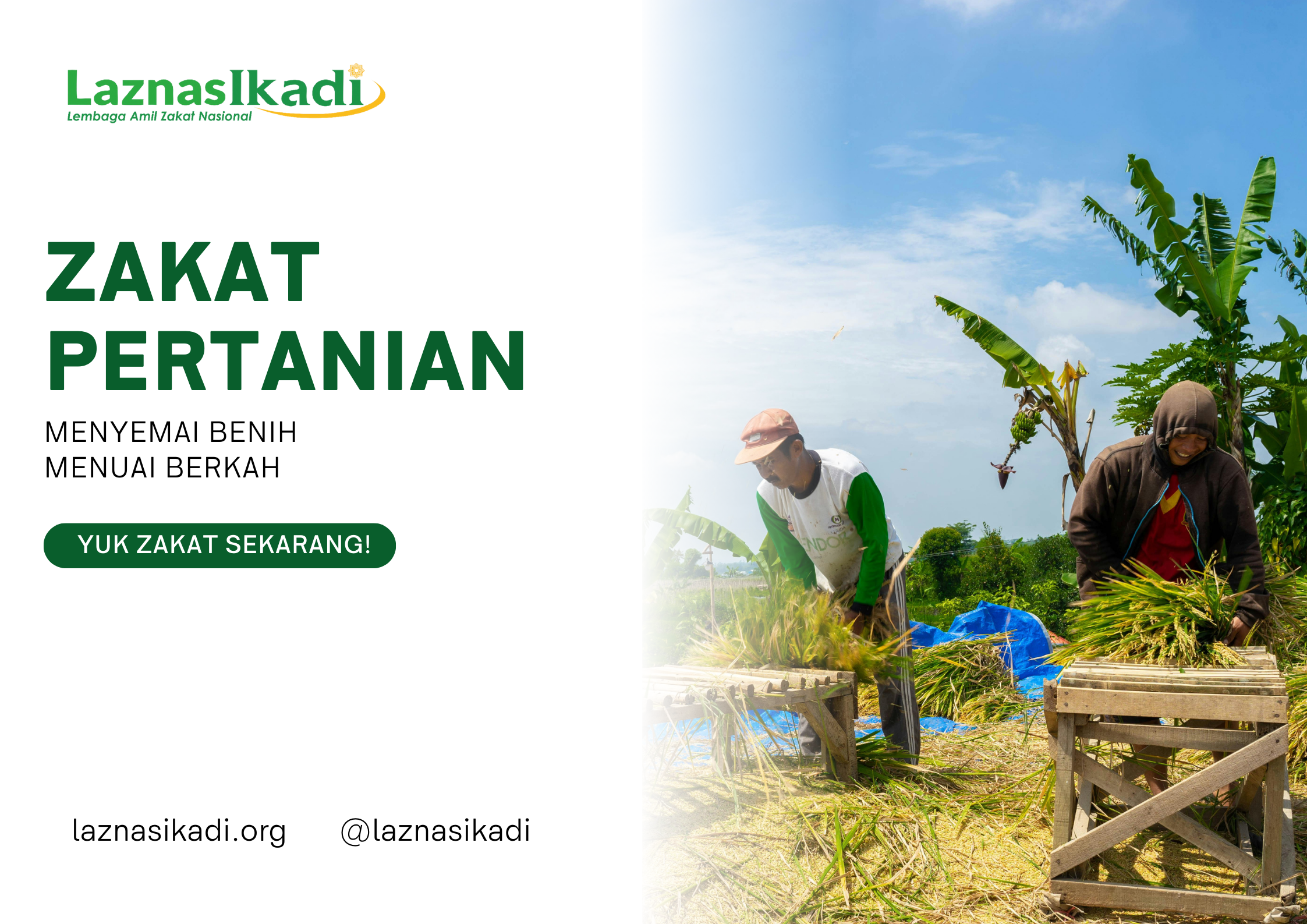 Tunaikan Zakat Pertanian - Menyemai Benih, Menuai Berkah