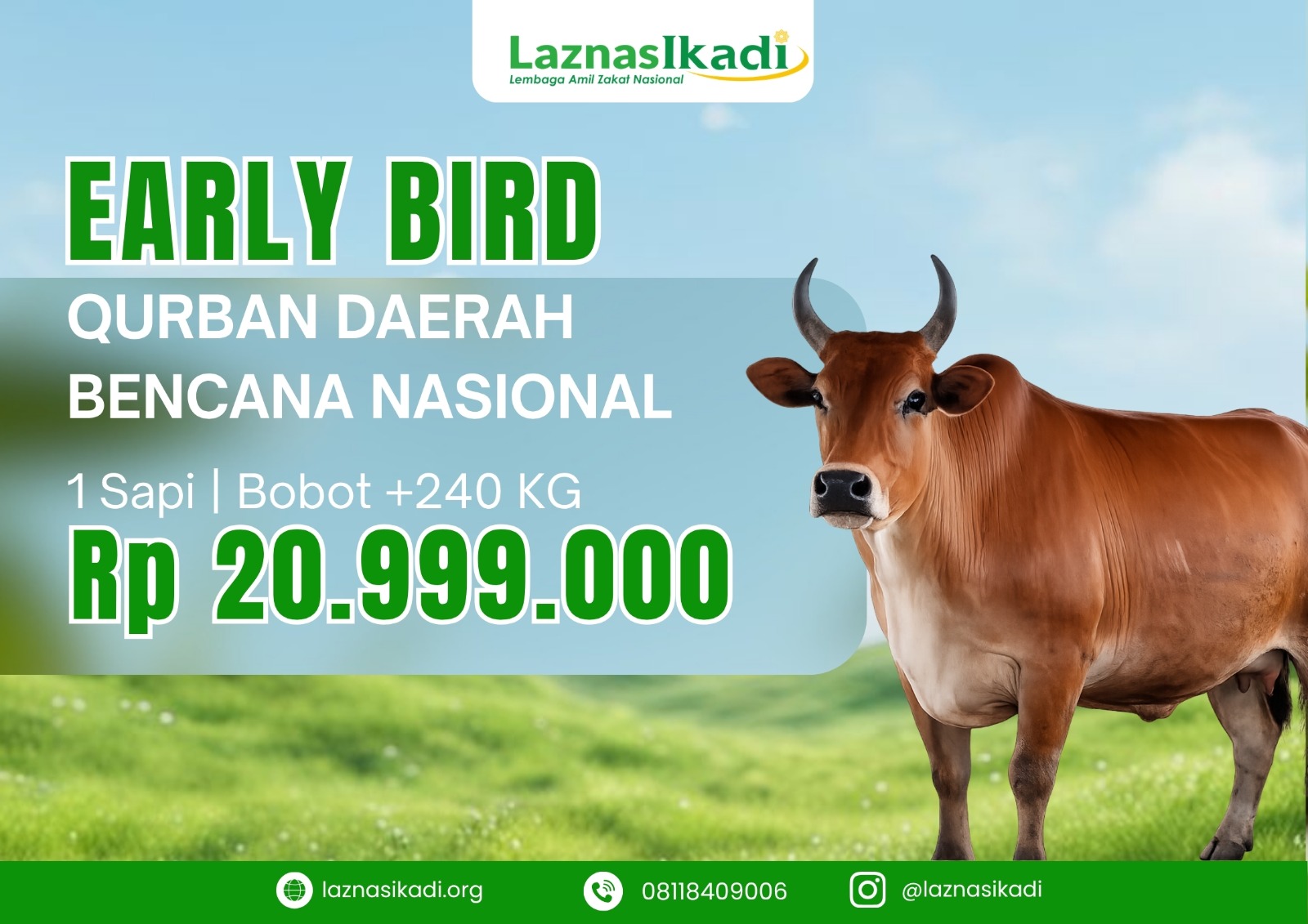 Qurban 1 Sapi di Daerah Bencana