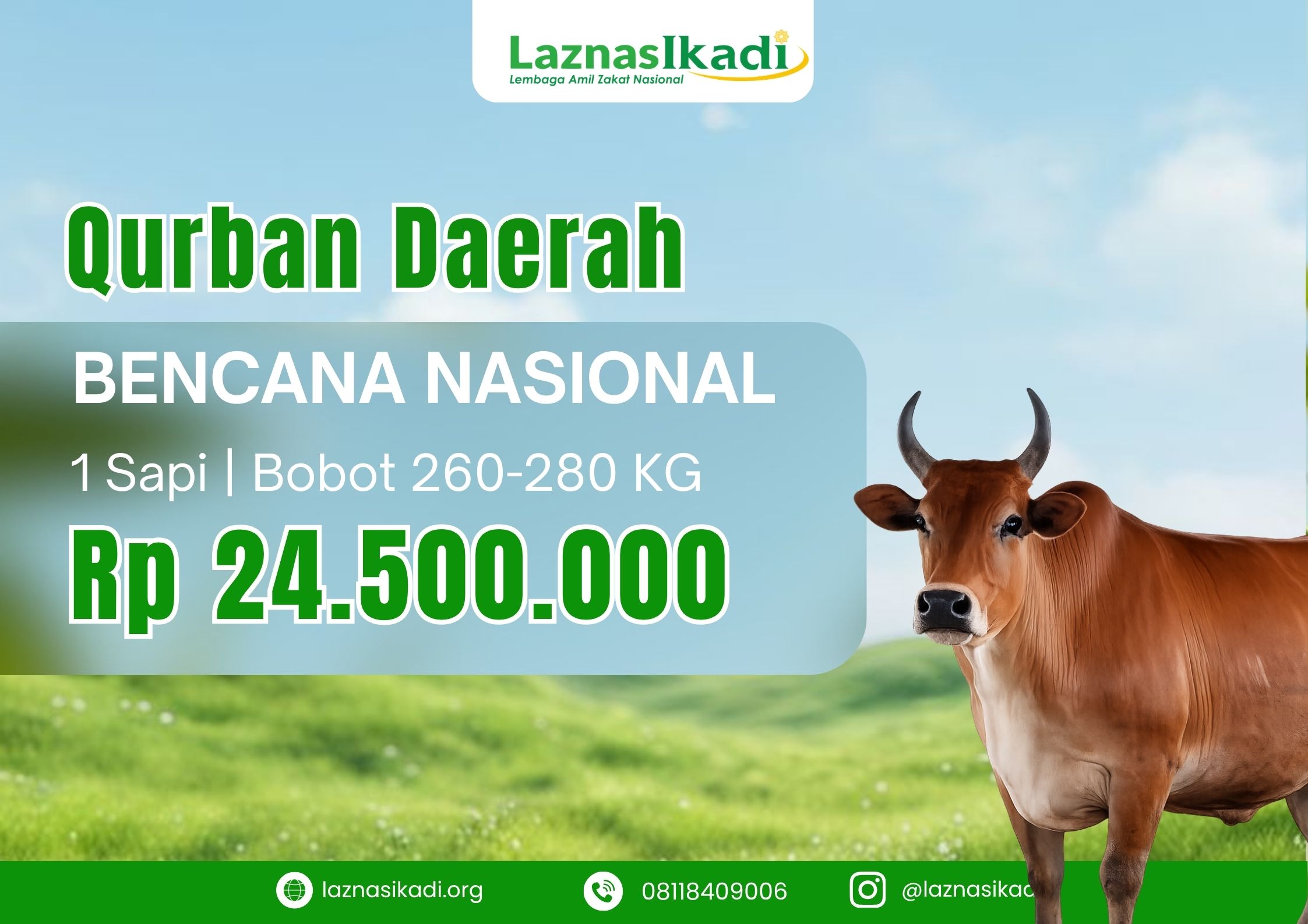 Qurban 1 Sapi di Daerah Bencana