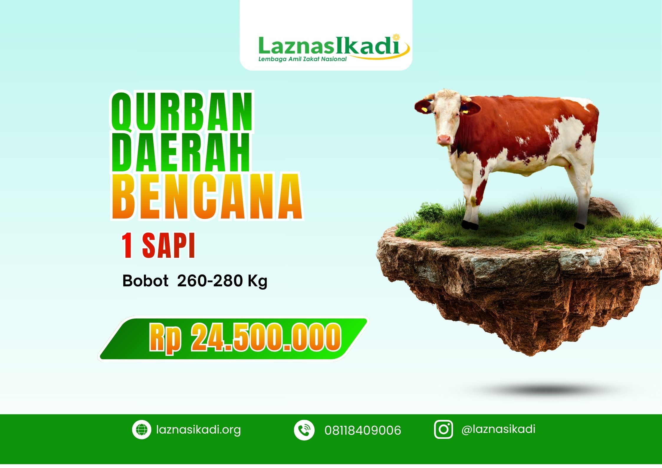 Qurban 1 Sapi di Daerah Bencana