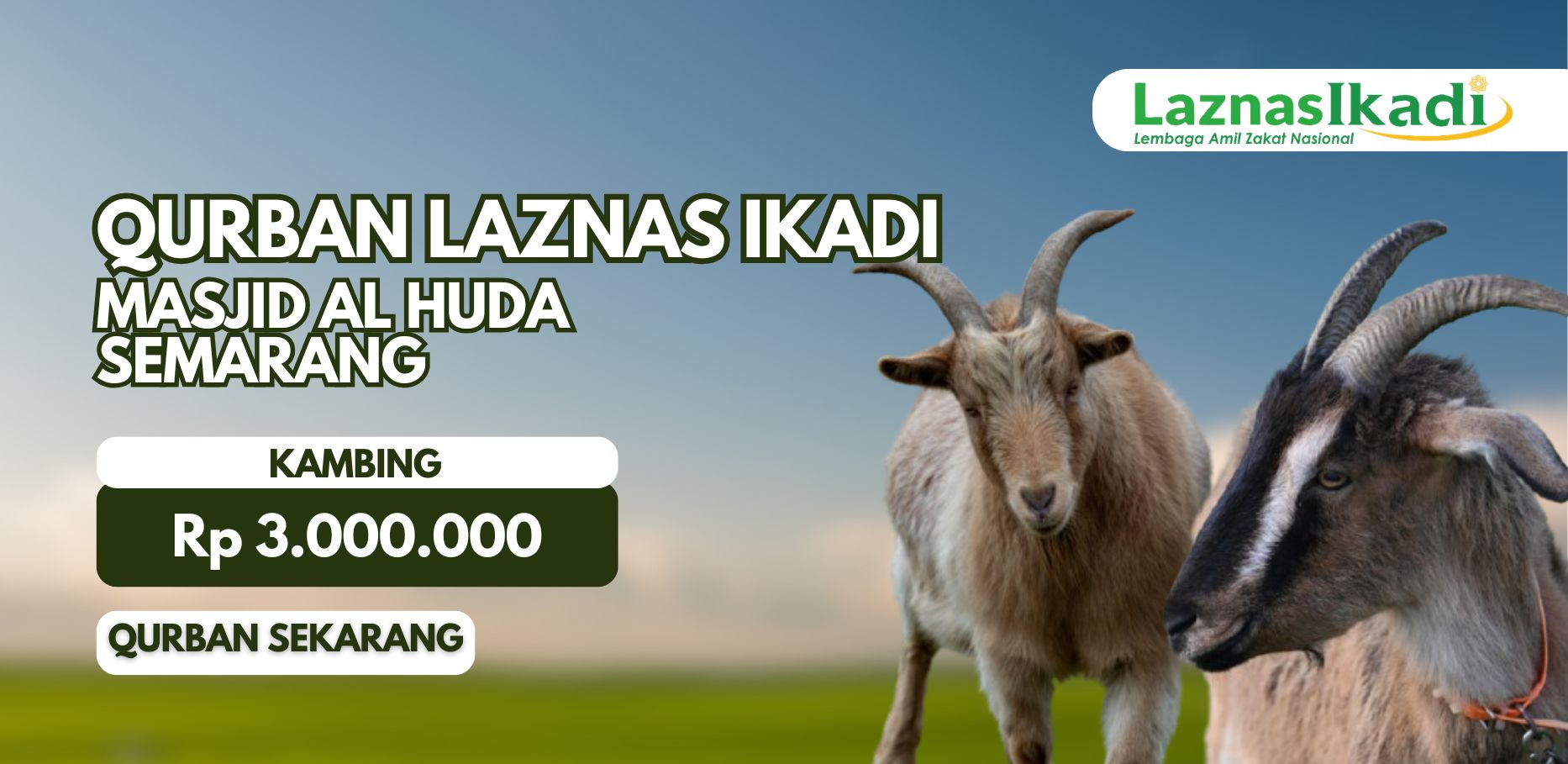 Smart Qurban: Qurban Kambing bersama Masjid Al Huda Semarang