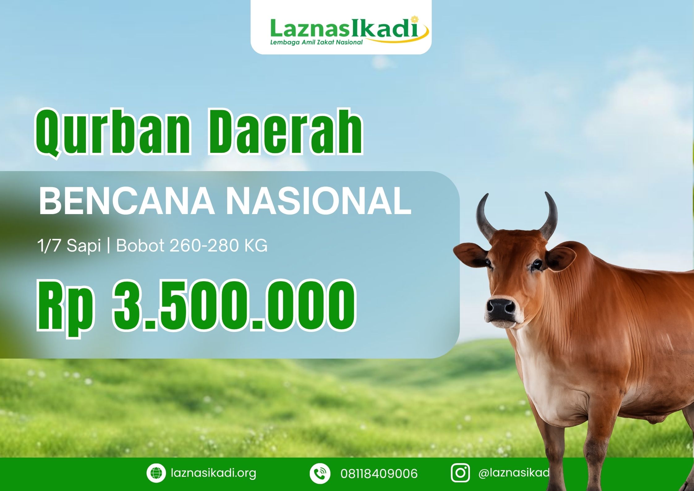 Qurban 1/7 Sapi di Daerah Bencana