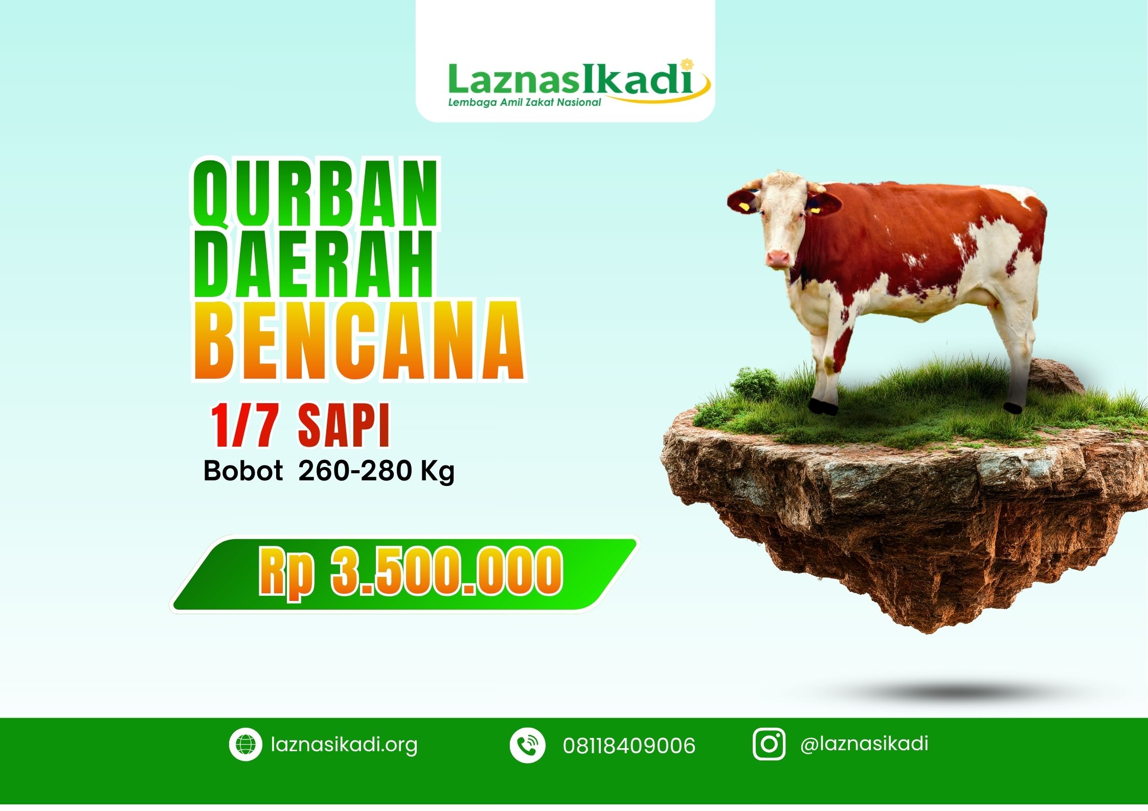 Qurban 1/7 Sapi di Daerah Bencana