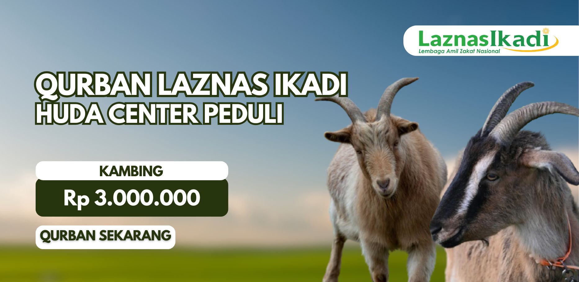 Smart Qurban: Qurban Kambing bersama Huda Center Peduli