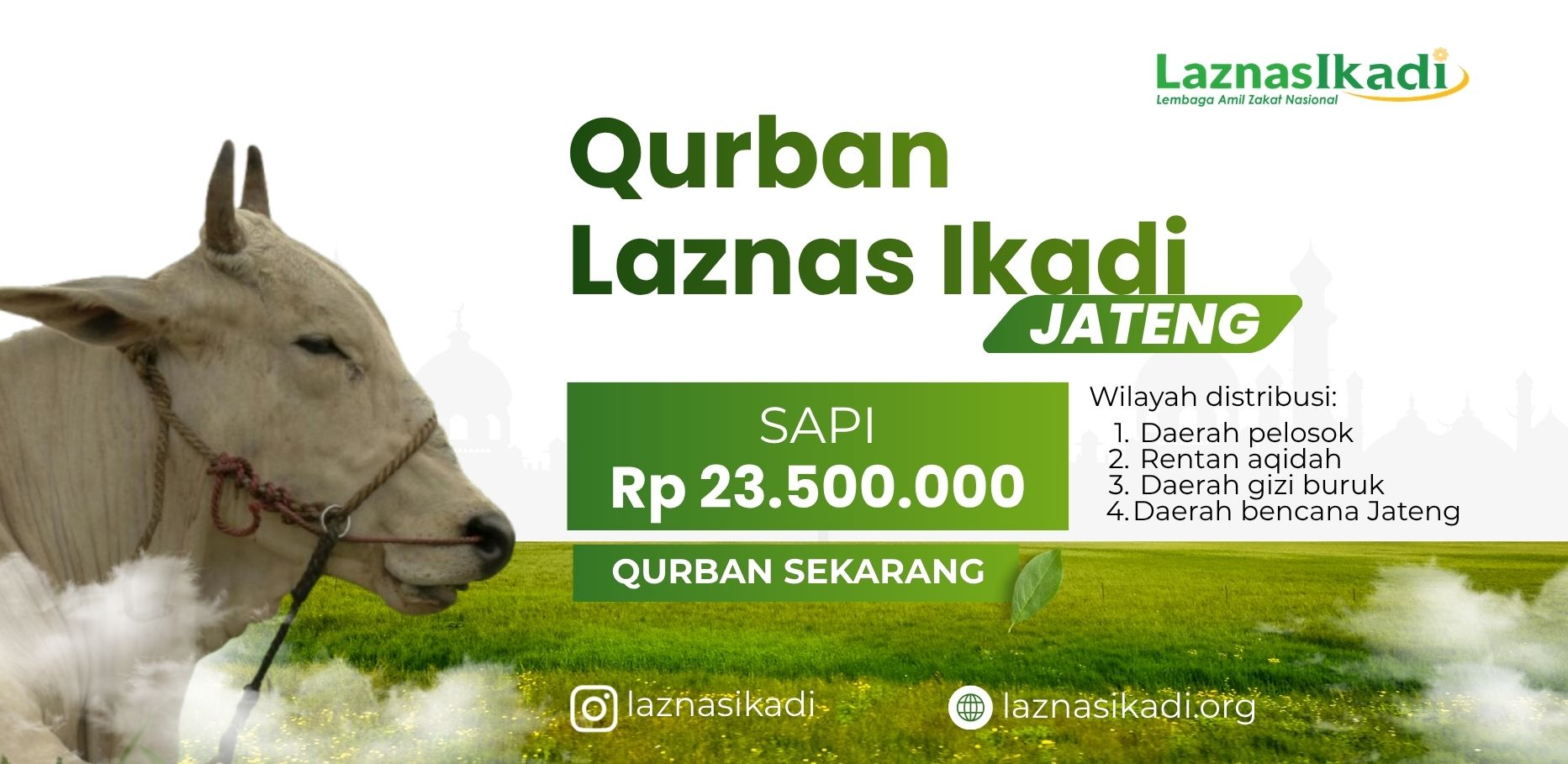 Smart Qurban: Qurban 1 Sapi Jawa Tengah