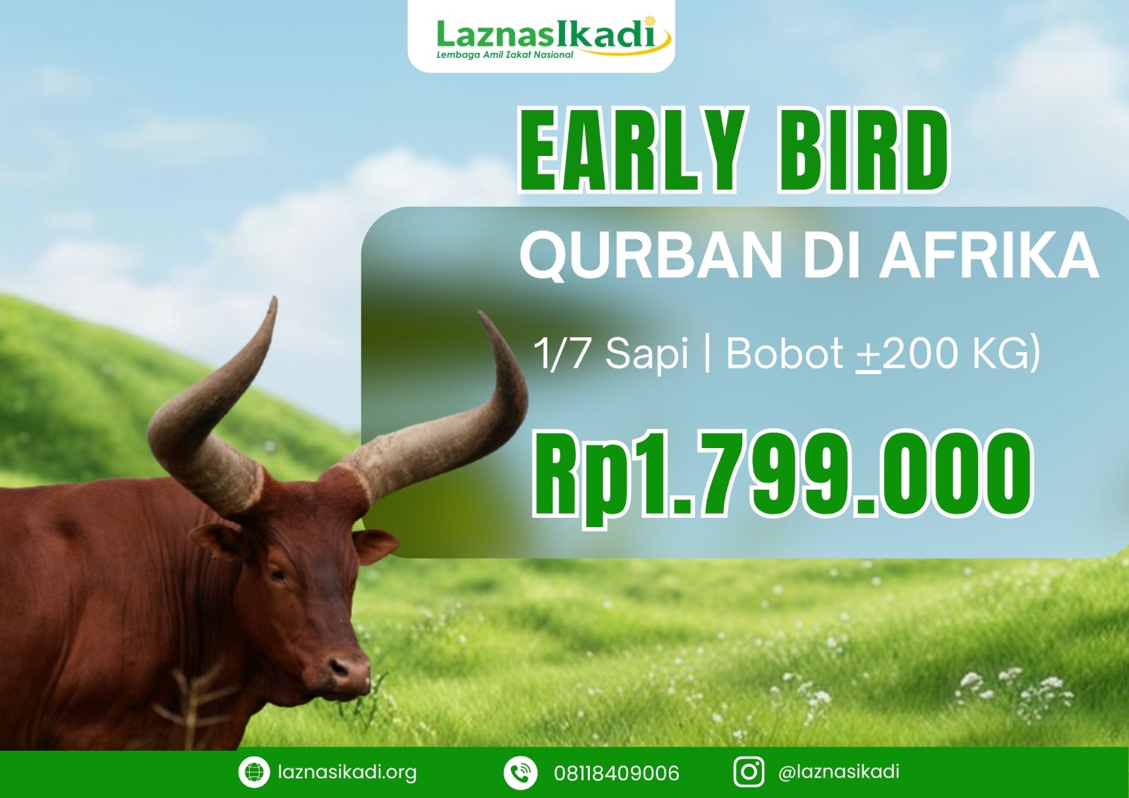 1/7 Sapi Qurban di Afrika