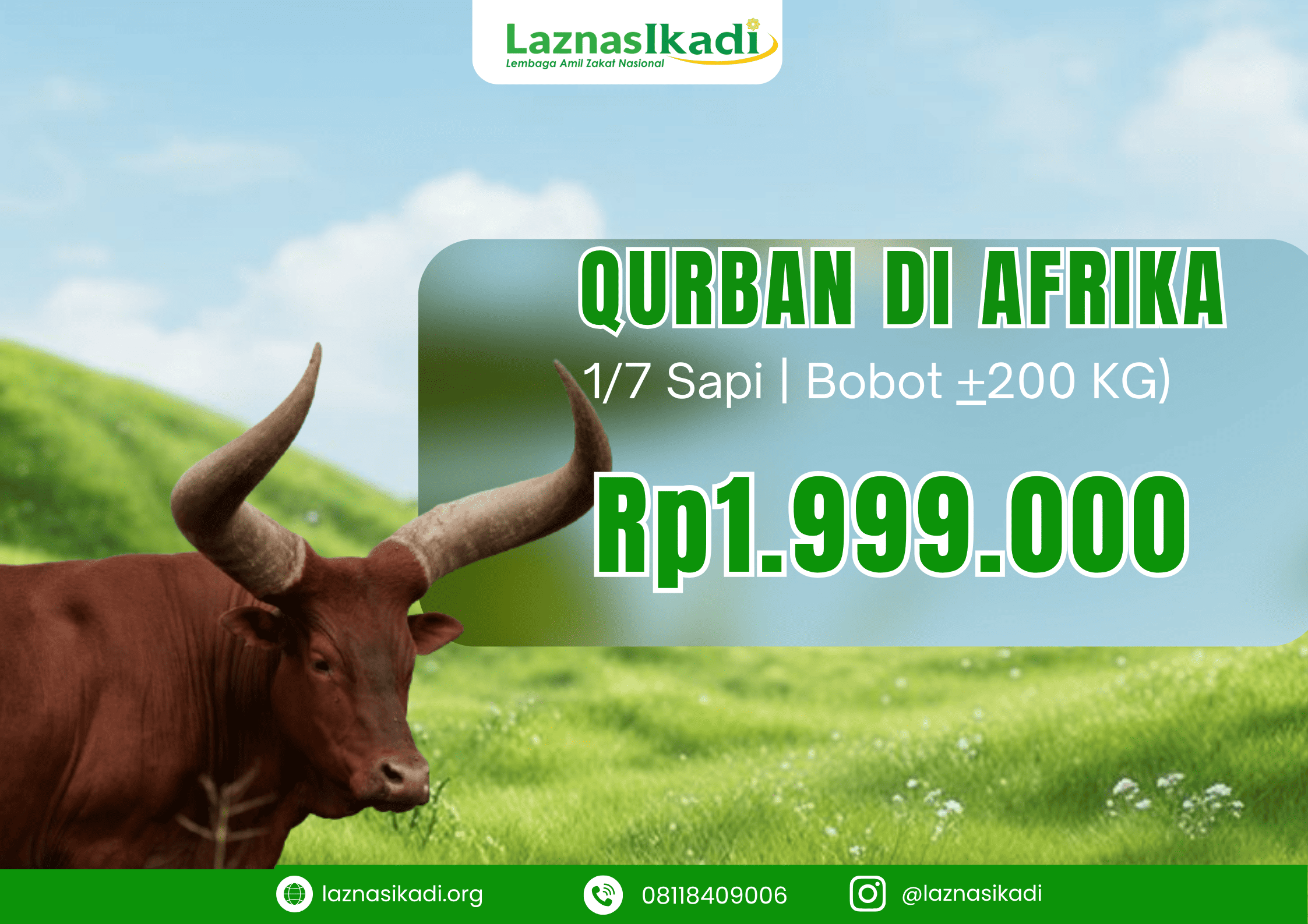 1/7 Sapi Qurban di Afrika