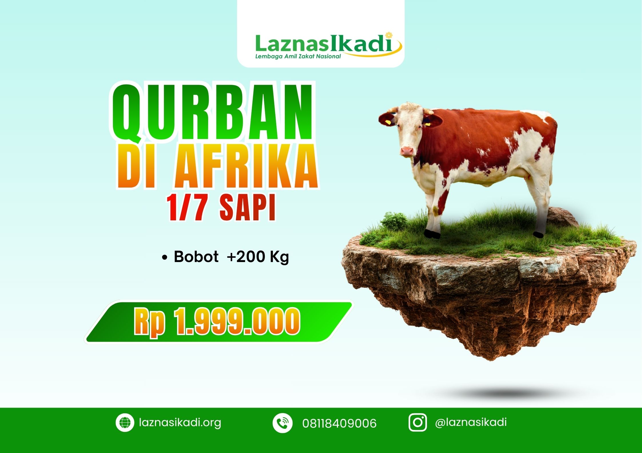 1/7 Sapi Qurban di Afrika