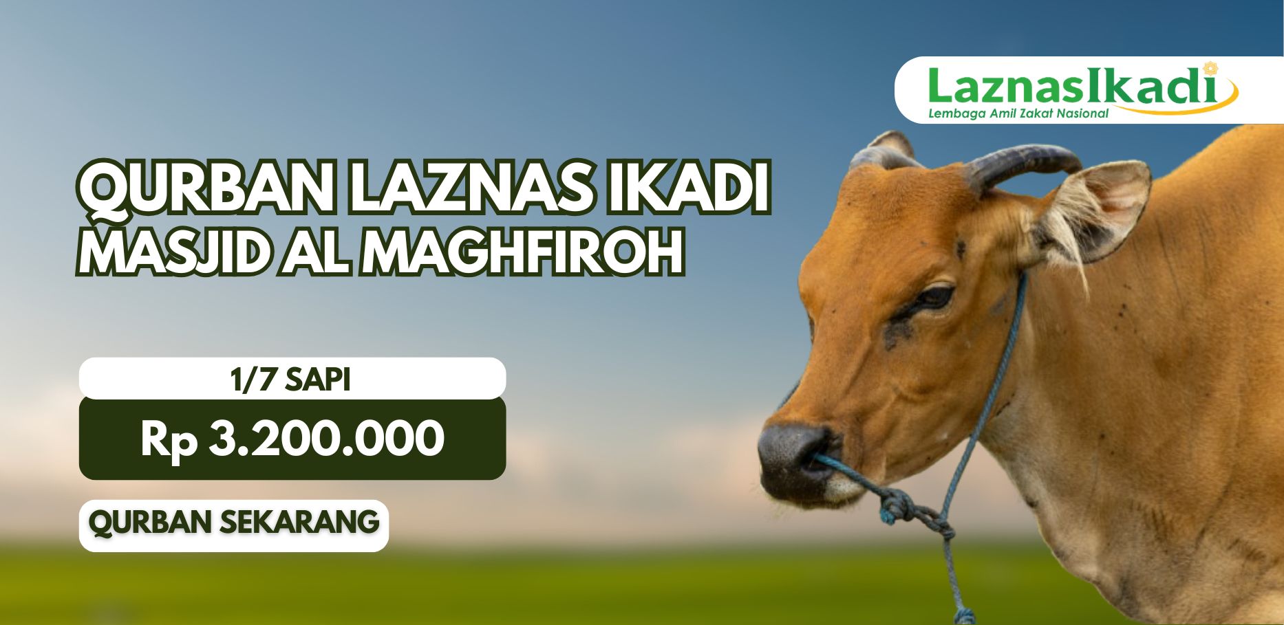 Qurban 1/7 Sapi Masjid Al Maghfiroh
