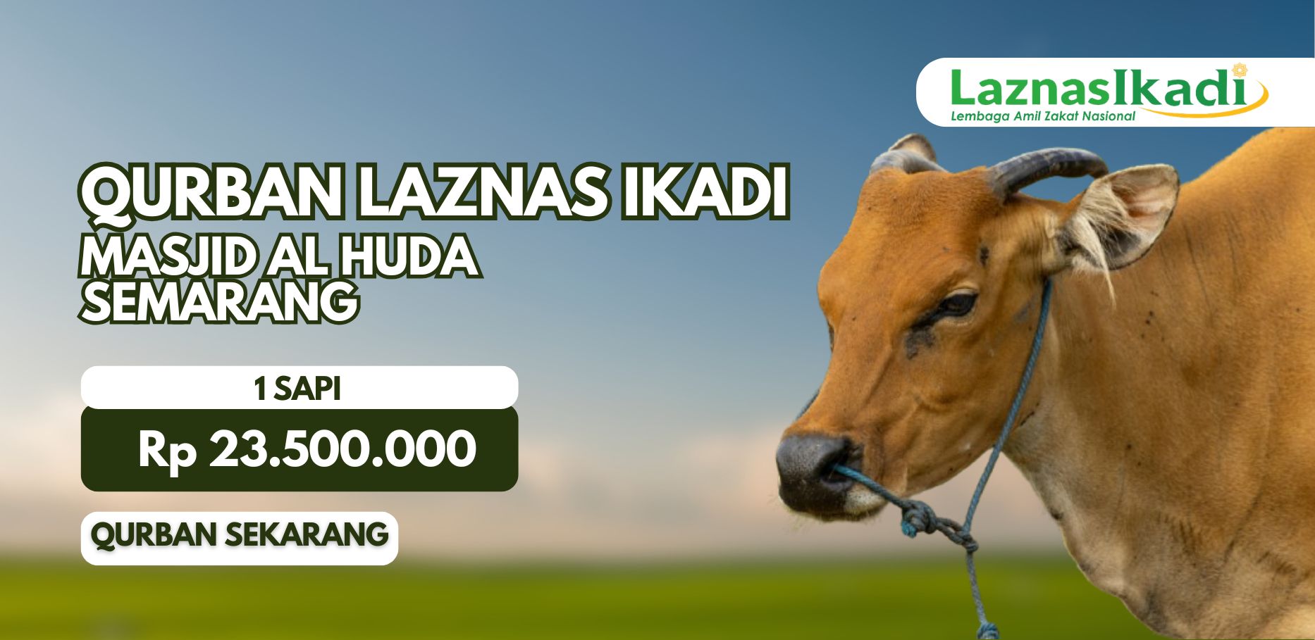 Smart Qurban: Qurban 1 Sapi bersama Masjid Al Huda Semarang